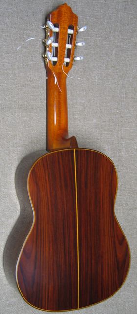 Photo of back of Esteve Octave Guitar